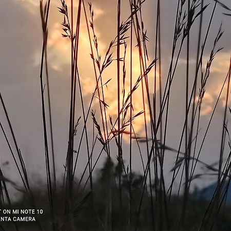 Le Gite D'Olympe Cordes-sur-Ciel Zewnętrze zdjęcie